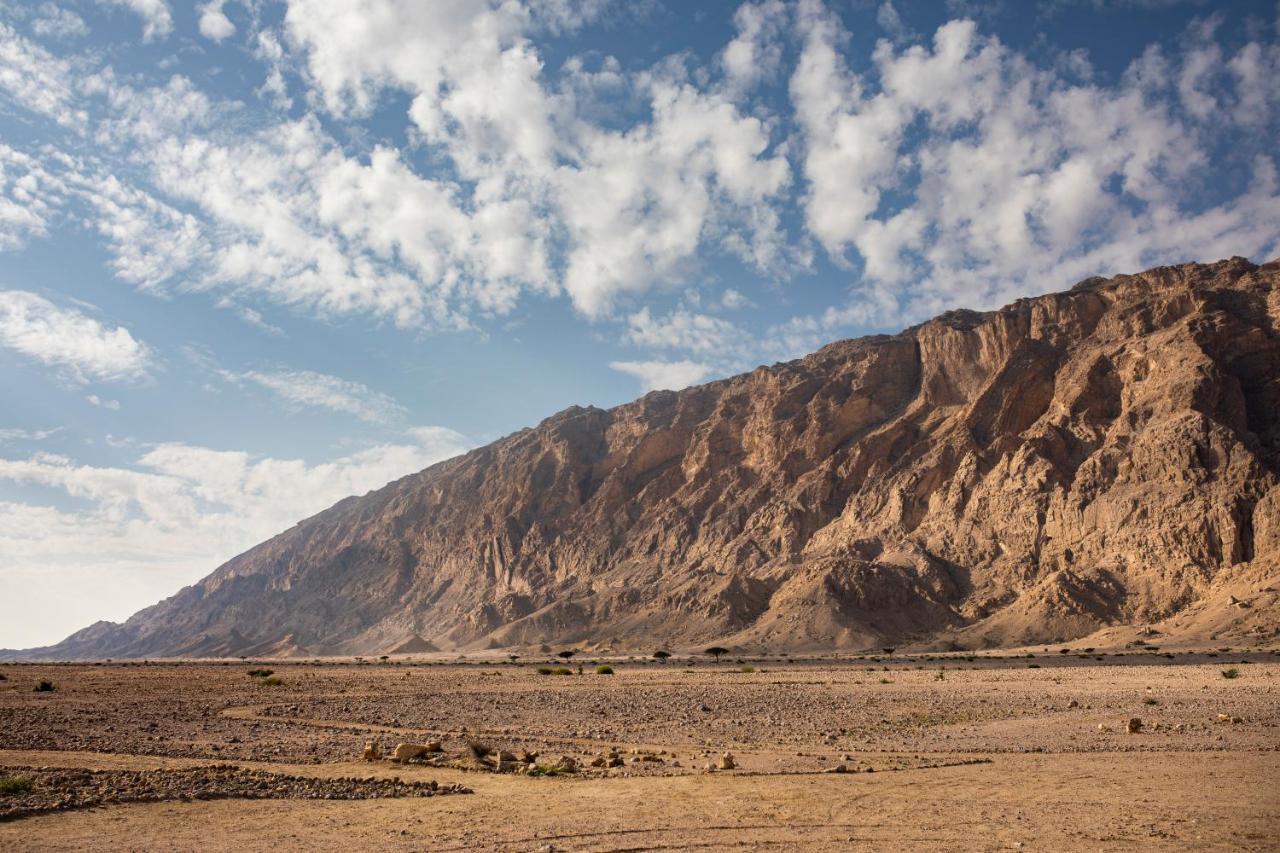 אל עין Pura Eco Retreat, Jebel Hafit Desert Park מראה חיצוני תמונה